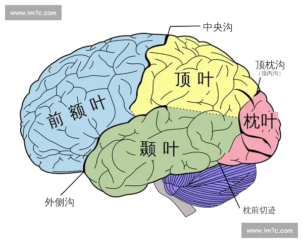 波尔vs省之争揭示区域发展与制度博弈的深层逻辑与未来走向